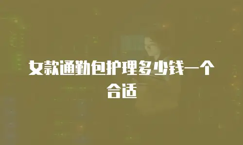 女款通勤包护理多少钱一个合适