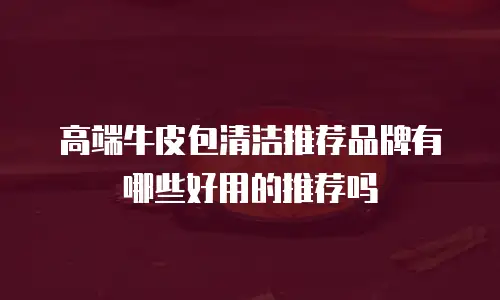 高端牛皮包清洁推荐品牌有哪些好用的推荐吗
