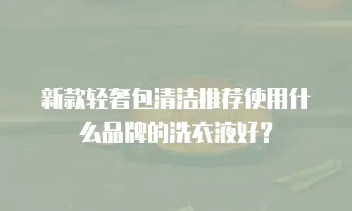新款轻奢包清洁推荐使用什么品牌的洗衣液好？