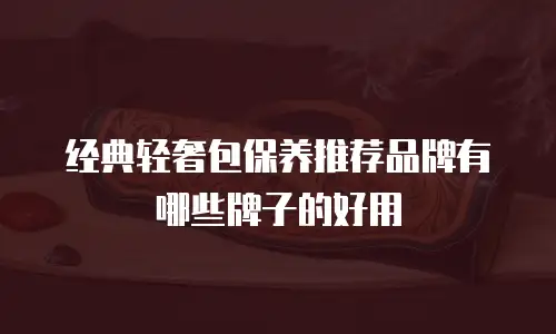 经典轻奢包保养推荐品牌有哪些牌子的好用
