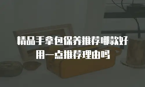 精品手拿包保养推荐哪款好用一点推荐理由吗