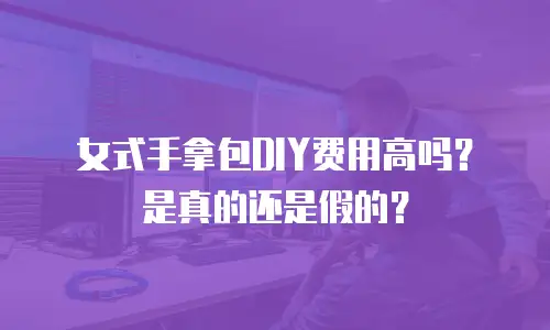 女式手拿包DIY费用高吗？是真的还是假的？