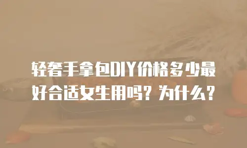 轻奢手拿包DIY价格多少最好合适女生用吗？为什么？