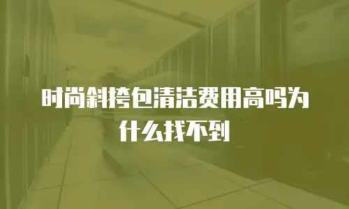 时尚斜挎包清洁费用高吗为什么找不到