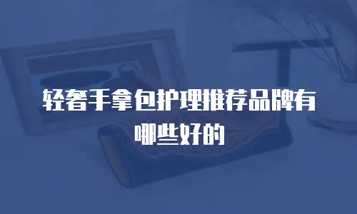 轻奢手拿包护理推荐品牌有哪些好的