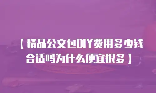 【精品公文包DIY费用多少钱合适吗为什么便宜很多】