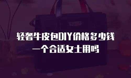 轻奢牛皮包DIY价格多少钱一个合适女士用吗