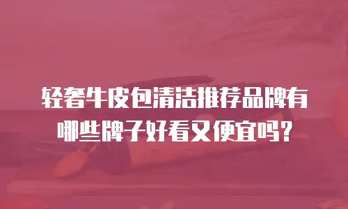 轻奢牛皮包清洁推荐品牌有哪些牌子好看又便宜吗？
