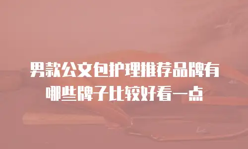 男款公文包护理推荐品牌有哪些牌子比较好看一点