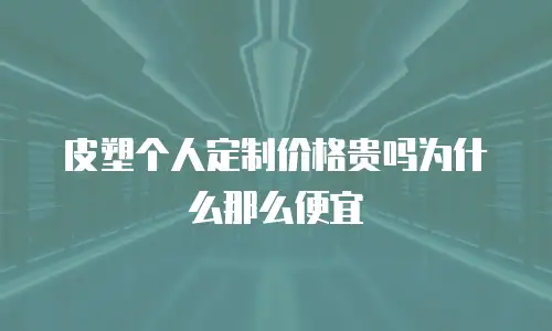 皮塑个人定制价格贵吗为什么那么便宜