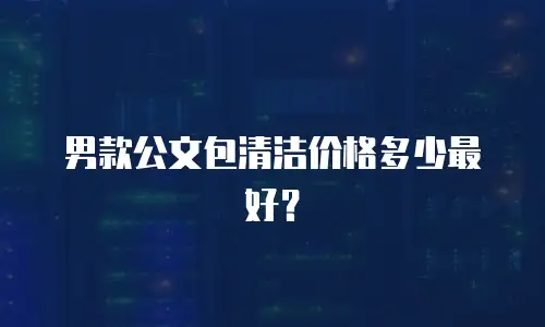 男款公文包清洁价格多少最好？
