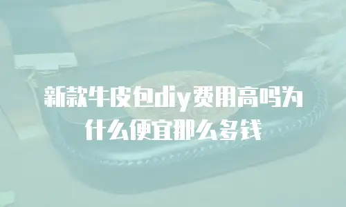 新款牛皮包diy费用高吗为什么便宜那么多钱