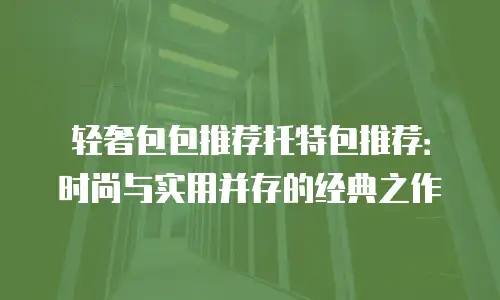 轻奢包包推荐托特包推荐：时尚与实用并存的经典之作