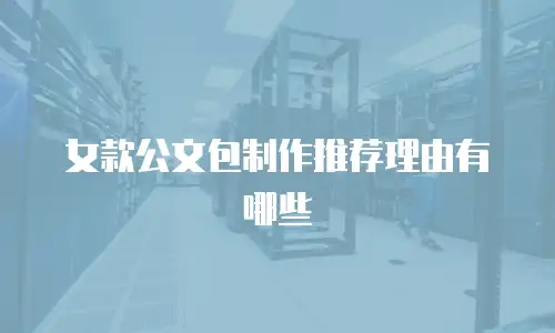 女款公文包制作推荐理由有哪些