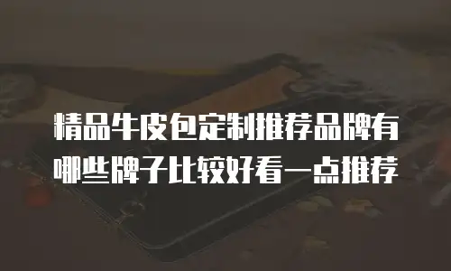 精品牛皮包定制推荐品牌有哪些牌子比较好看一点推荐