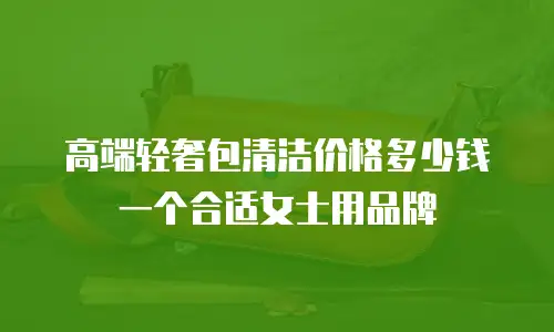 高端轻奢包清洁价格多少钱一个合适女士用品牌