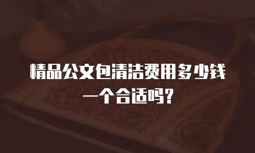 精品公文包清洁费用多少钱一个合适吗？
