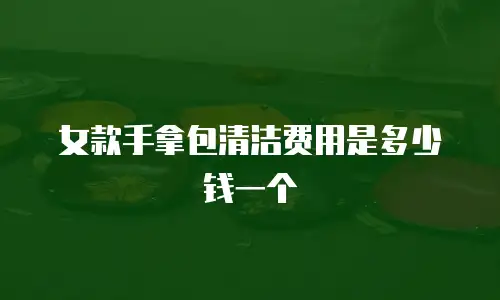 女款手拿包清洁费用是多少钱一个