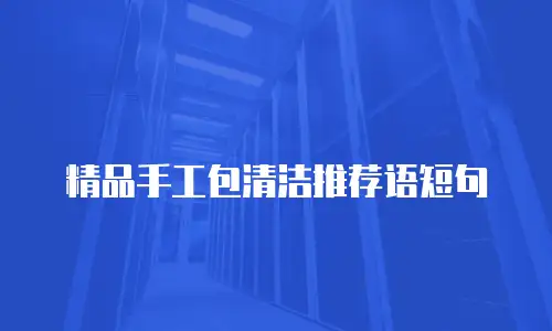 精品手工包清洁推荐语短句