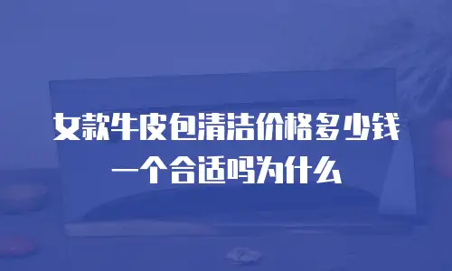 女款牛皮包清洁价格多少钱一个合适吗为什么