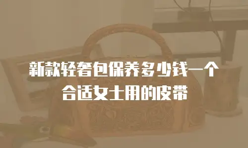 新款轻奢包保养多少钱一个合适女士用的皮带