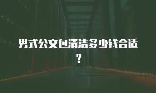 男式公文包清洁多少钱合适？