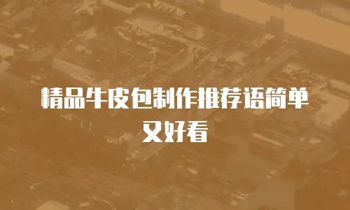 精品牛皮包制作推荐语简单又好看