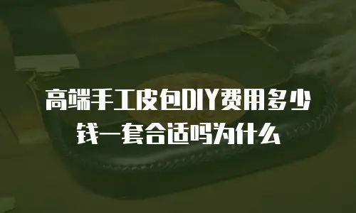 高端手工皮包DIY费用多少钱一套合适吗为什么