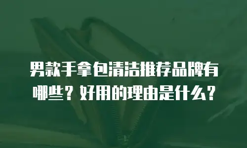 男款手拿包清洁推荐品牌有哪些？好用的理由是什么？