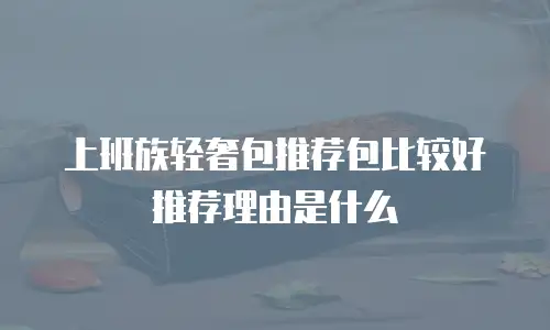 上班族轻奢包推荐包比较好推荐理由是什么
