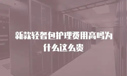 新款轻奢包护理费用高吗为什么这么贵