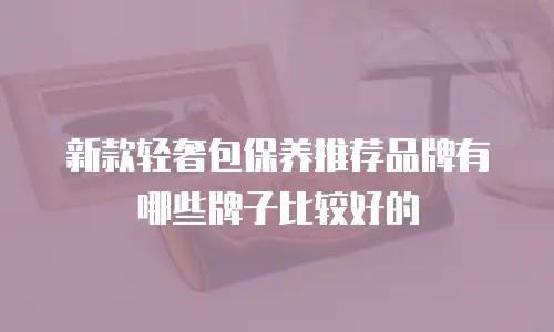 新款轻奢包保养推荐品牌有哪些牌子比较好的