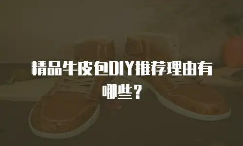 精品牛皮包DIY推荐理由有哪些？
