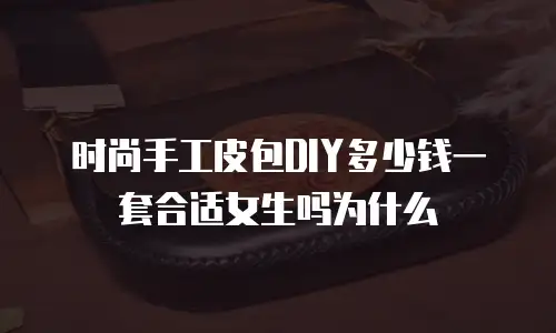 时尚手工皮包DIY多少钱一套合适女生吗为什么