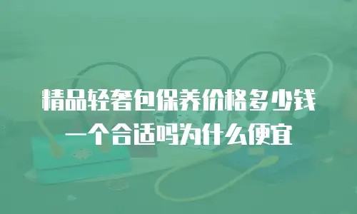 精品轻奢包保养价格多少钱一个合适吗为什么便宜