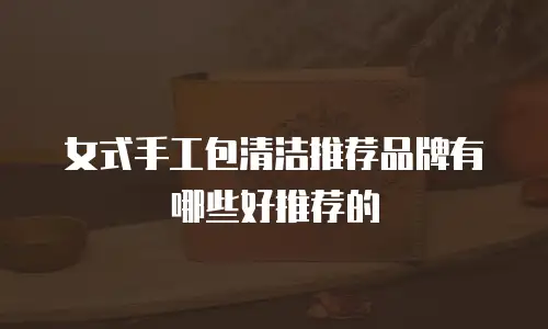 女式手工包清洁推荐品牌有哪些好推荐的