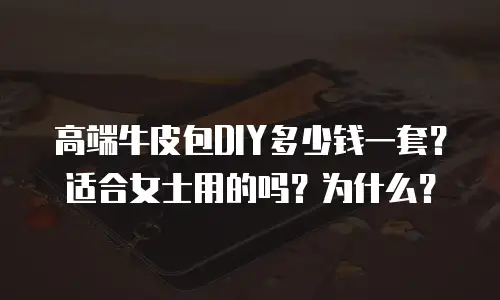 高端牛皮包DIY多少钱一套？适合女士用的吗？为什么？