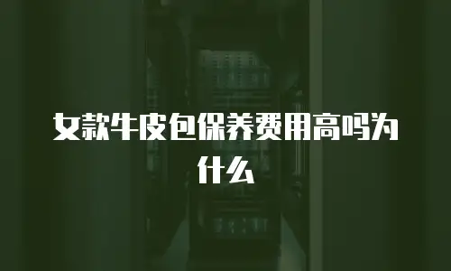女款牛皮包保养费用高吗为什么