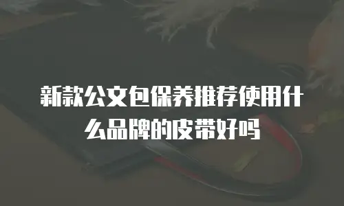 新款公文包保养推荐使用什么品牌的皮带好吗
