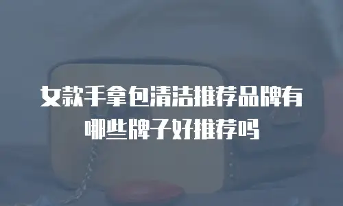 女款手拿包清洁推荐品牌有哪些牌子好推荐吗