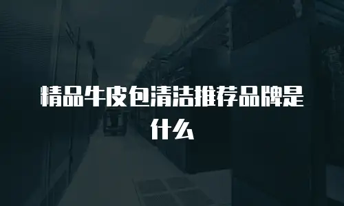 精品牛皮包清洁推荐品牌是什么