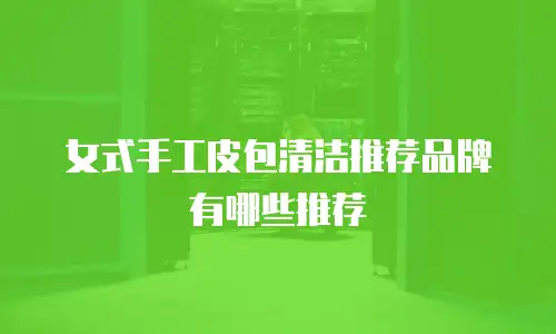 女式手工皮包清洁推荐品牌有哪些推荐