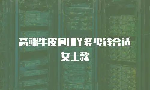 高端牛皮包DIY多少钱合适女士款