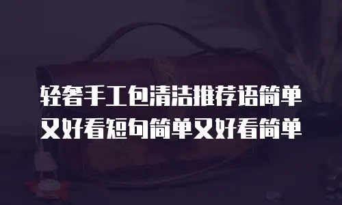 轻奢手工包清洁推荐语简单又好看短句简单又好看简单
