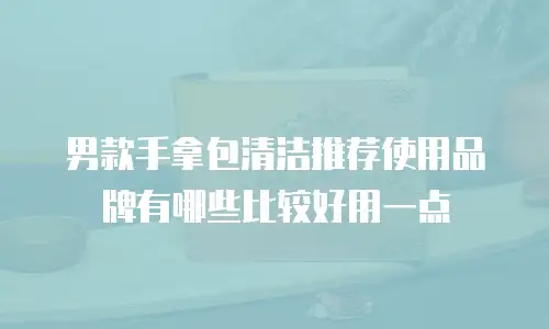 男款手拿包清洁推荐使用品牌有哪些比较好用一点