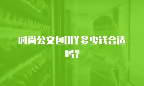 时尚公文包DIY多少钱合适吗？