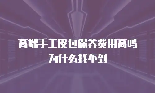 高端手工皮包保养费用高吗为什么找不到