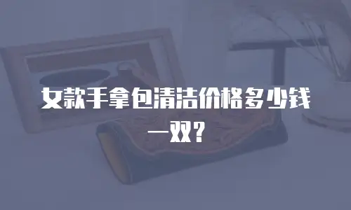 女款手拿包清洁价格多少钱一双？