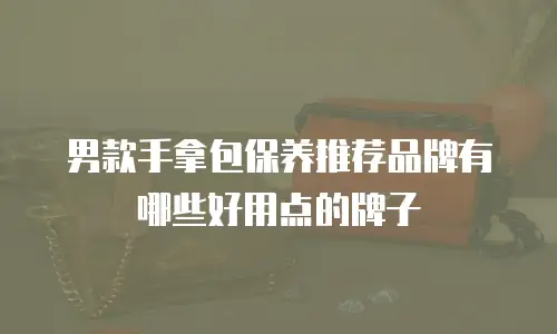 男款手拿包保养推荐品牌有哪些好用点的牌子