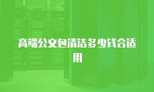 高端公文包清洁多少钱合适用